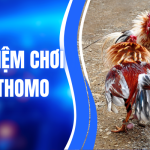 Kinh Nghiệm Chơi Đá Gà Thomo Chuẩn Xác Giúp Tối Ưu Hiệu Quả 1 Kinh Nghiệm Chơi Đá Gà Thomo Chuẩn Xác Giúp Tối Ưu Hiệu Quả